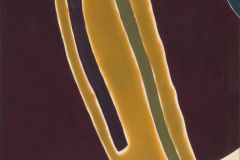 1964-Clinton-Hill-14